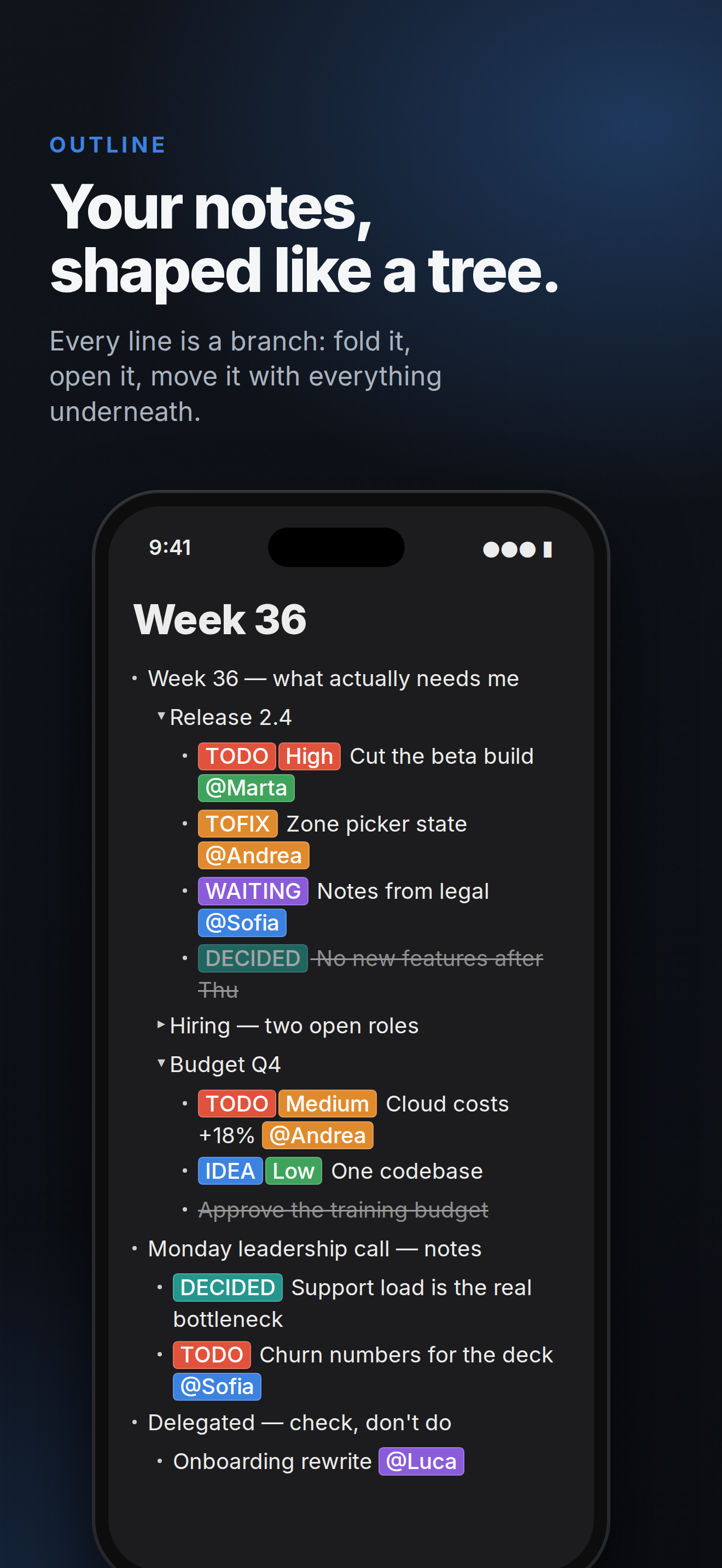 AZNote on iPhone